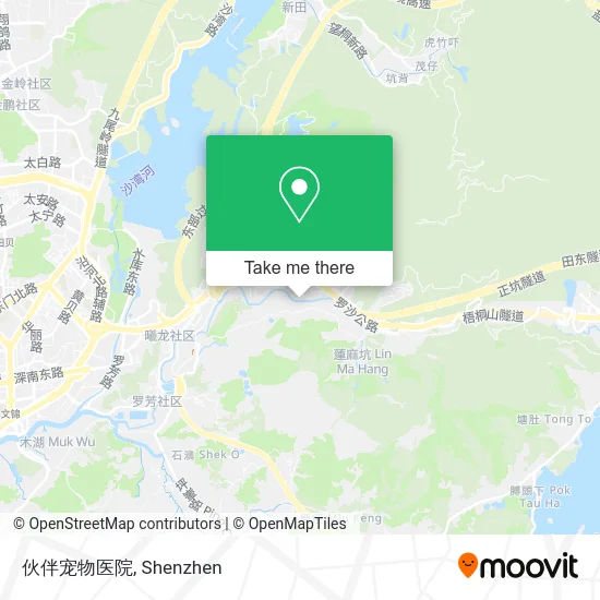 伙伴宠物医院 map