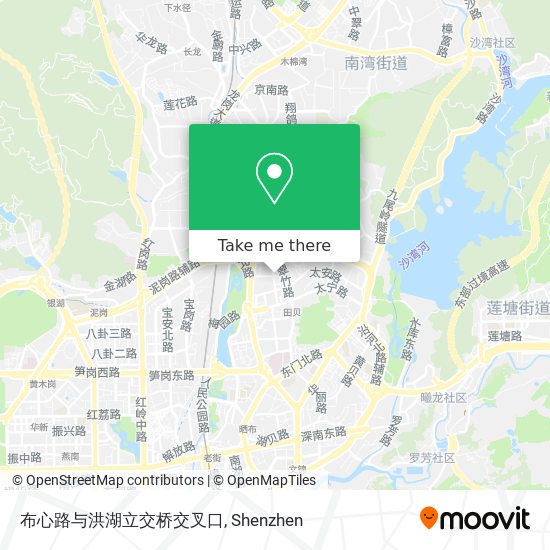 布心路与洪湖立交桥交叉口 map
