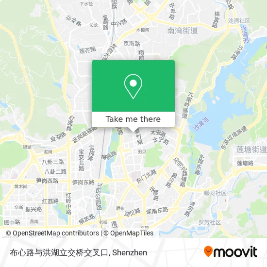 布心路与洪湖立交桥交叉口 map