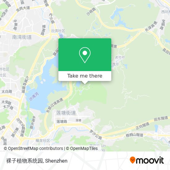 裸子植物系统园 map