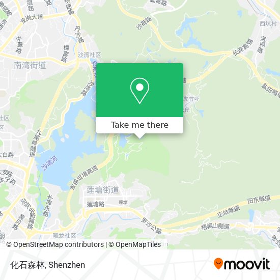 化石森林 map