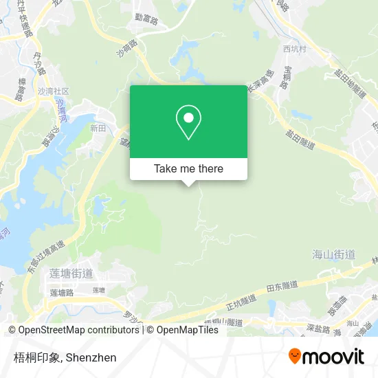 梧桐印象 map