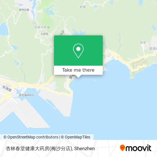杏林春堂健康大药房(梅沙分店) map
