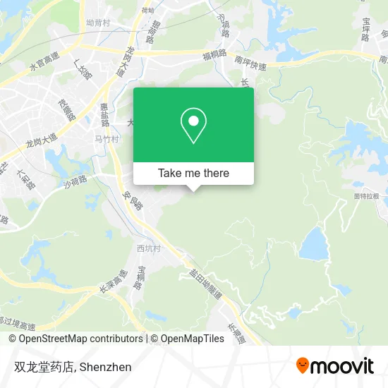 双龙堂药店 map
