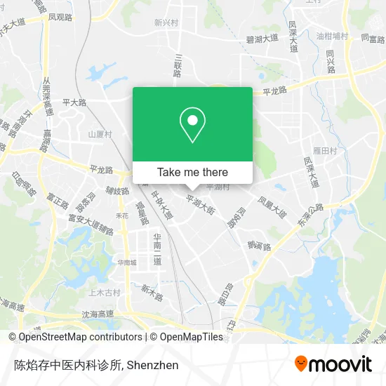 陈焰存中医内科诊所 map