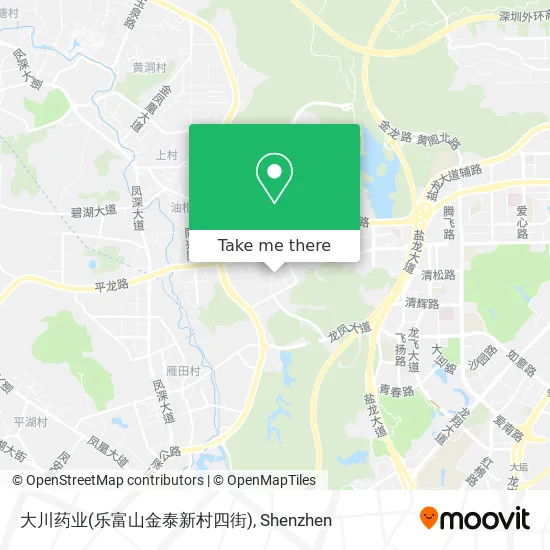 大川药业(乐富山金泰新村四街) map