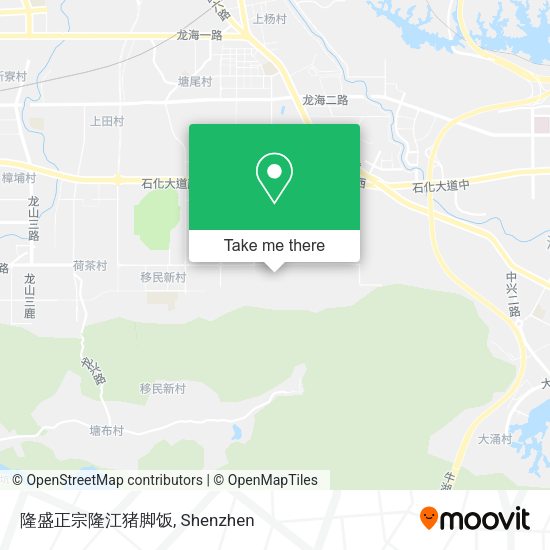 隆盛正宗隆江猪脚饭 map