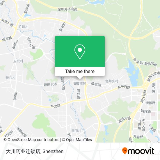 大川药业连锁店 map