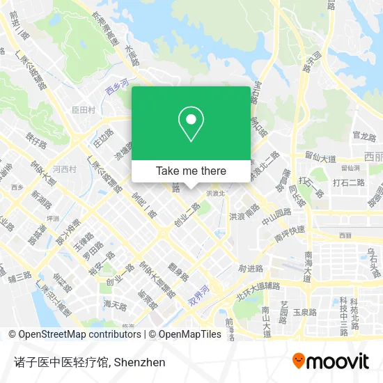 诸子医中医轻疗馆 map