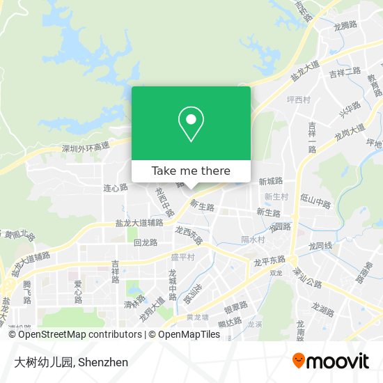 大树幼儿园 map