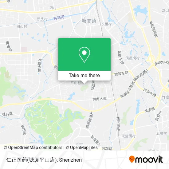 仁正医药(塘厦平山店) map