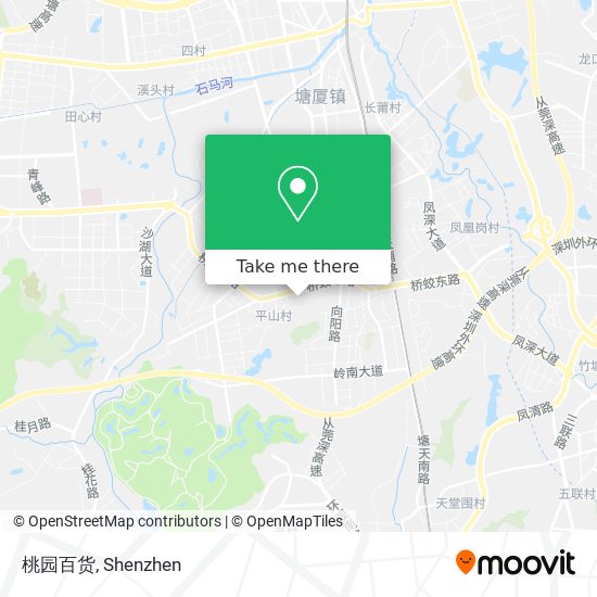 桃园百货 map