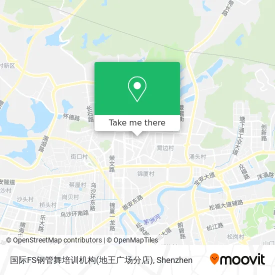国际FS钢管舞培训机构(地王广场分店) map