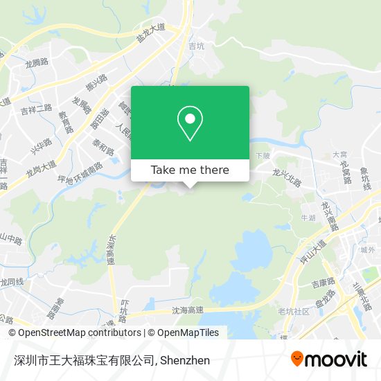 深圳市王大福珠宝有限公司 map