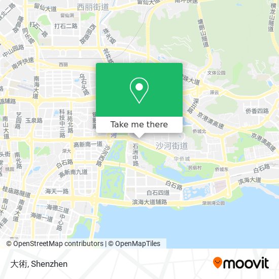 大術 map