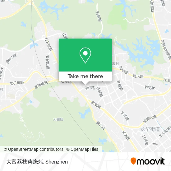 大富荔枝柴烧烤 map