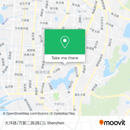 大洋路/万新二路(路口) map