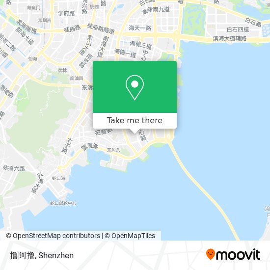 撸阿撸 map