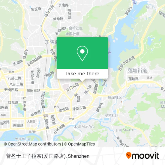 普盈士王子拉茶(爱国路店) map