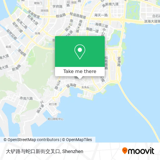 大铲路与蛇口新街交叉口 map
