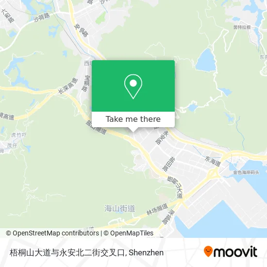 梧桐山大道与永安北二街交叉口 map
