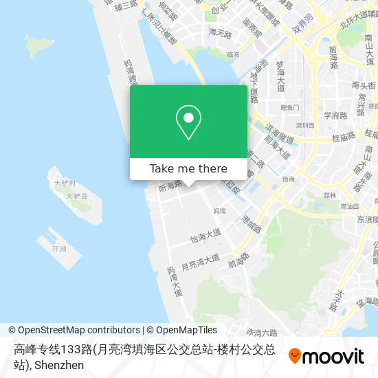 高峰专线133路(月亮湾填海区公交总站-楼村公交总站) map