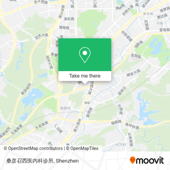 桑彦召西医内科诊所 map