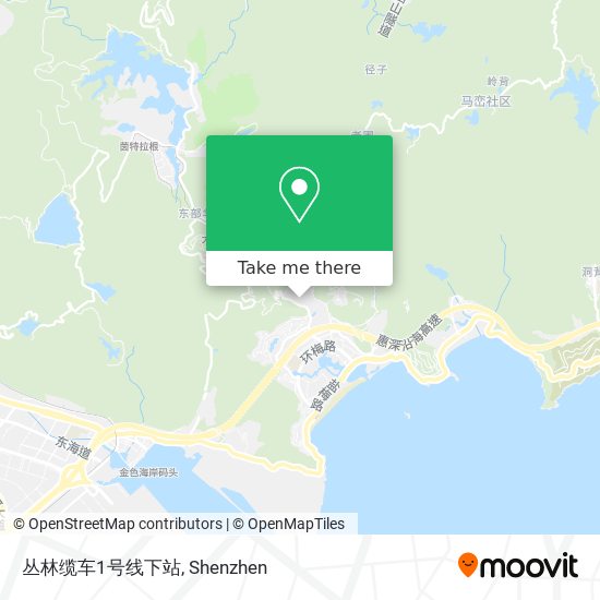 丛林缆车1号线下站 map