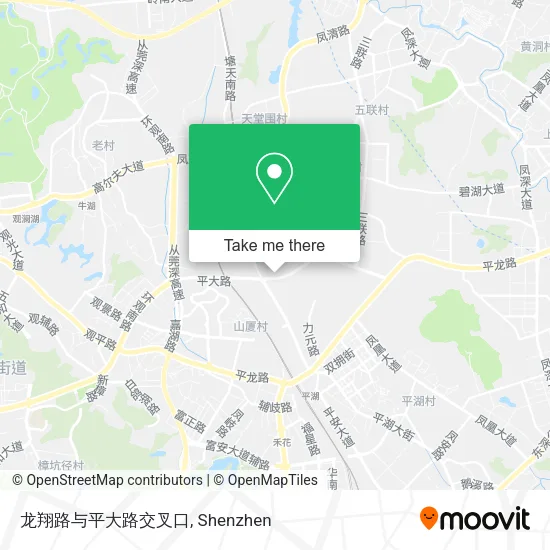 龙翔路与平大路交叉口 map