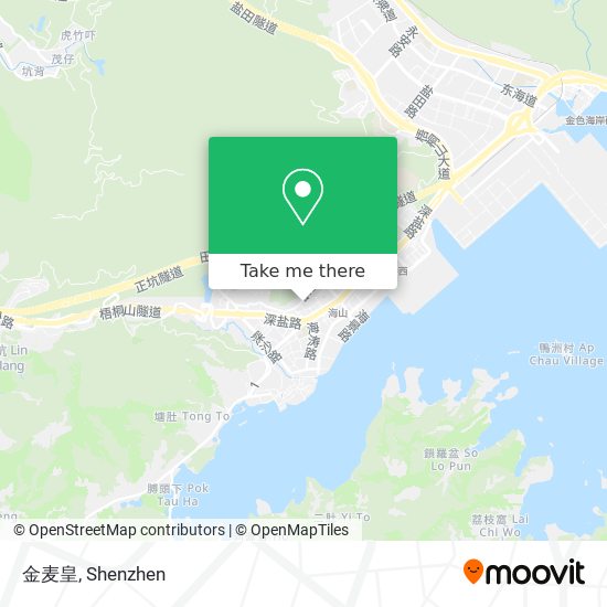 金麦皇 map