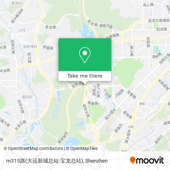 m315路(大运新城总站-宝龙总站) map