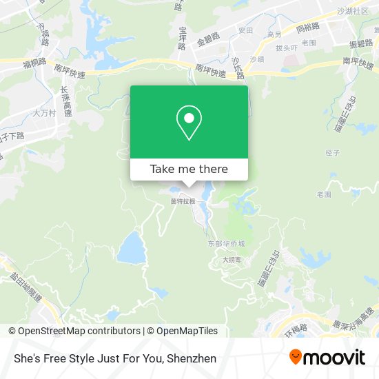 She's Free Style Just For You map