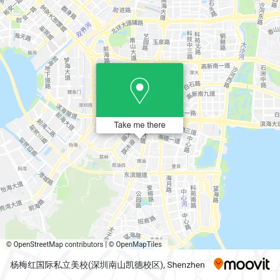 杨梅红国际私立美校(深圳南山凯德校区) map
