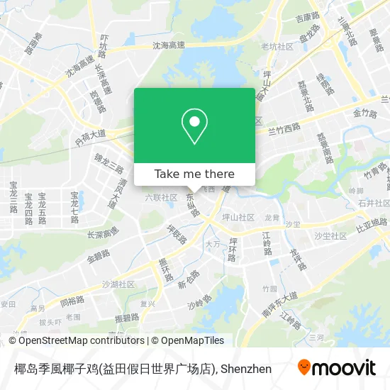 椰岛季風椰子鸡(益田假日世界广场店) map