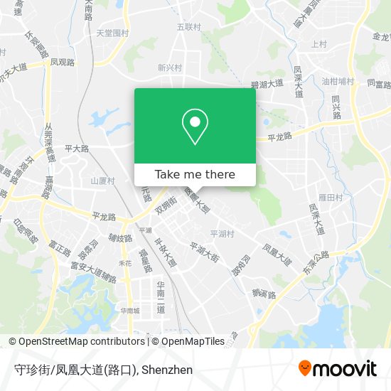 守珍街/凤凰大道(路口) map