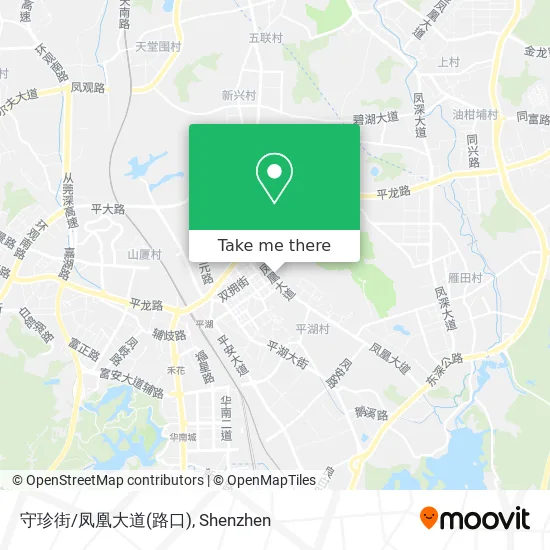 守珍街/凤凰大道(路口) map