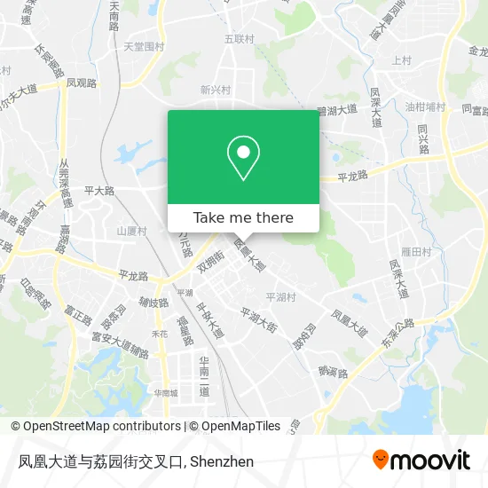 凤凰大道与荔园街交叉口 map