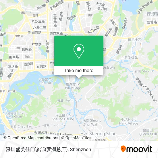 深圳盛美佳门诊部(罗湖总店) map