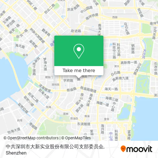 中共深圳市大新实业股份有限公司支部委员会 map