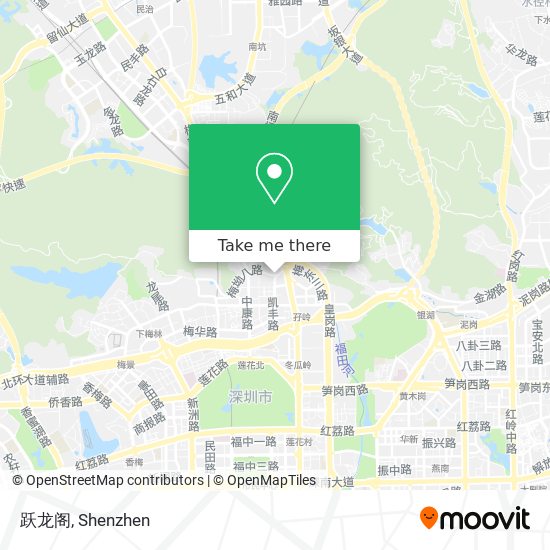 跃龙阁 map