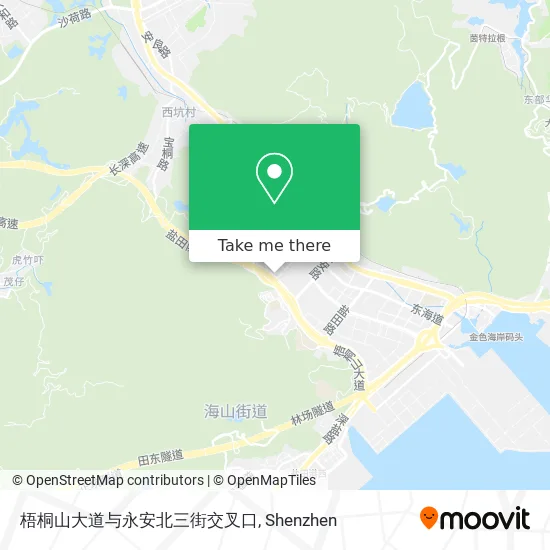 梧桐山大道与永安北三街交叉口 map