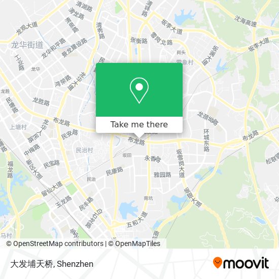 大发埔天桥 map