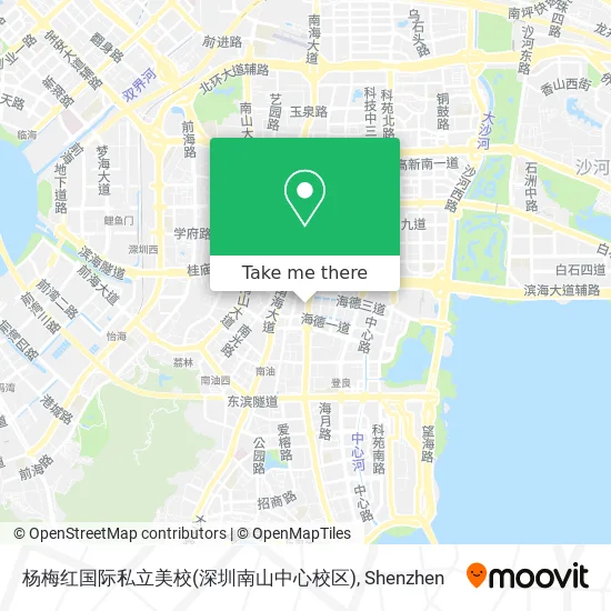 杨梅红国际私立美校(深圳南山中心校区) map