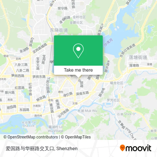 爱国路与华丽路交叉口 map