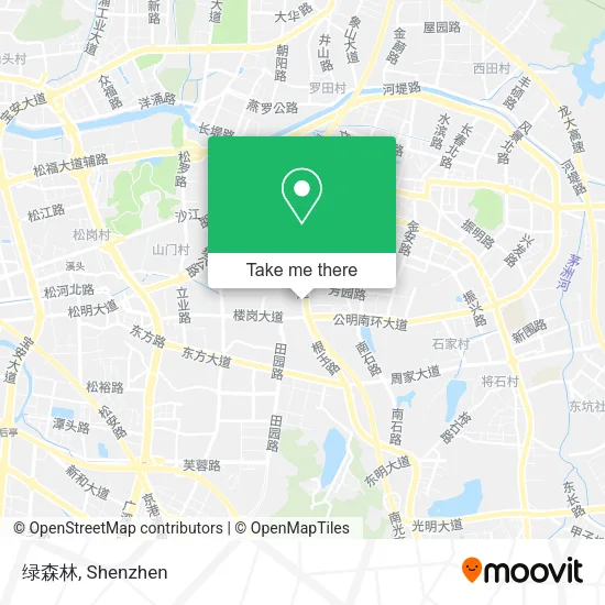 绿森林 map