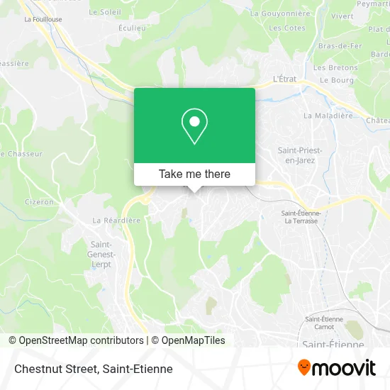 Rue des Marronniers map