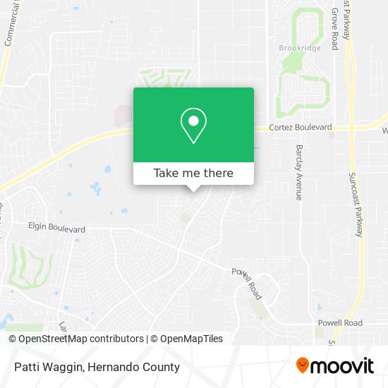 Patti Waggin map