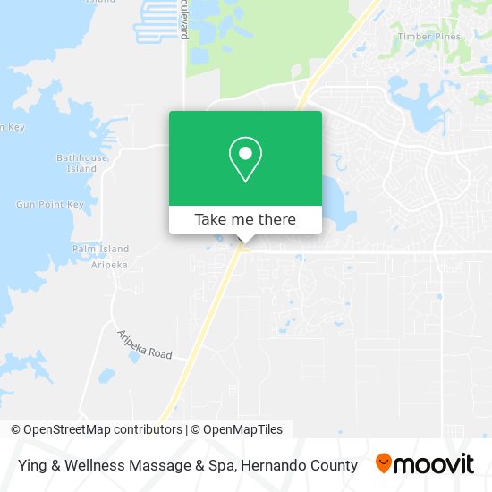 Ying & Wellness Massage & Spa map