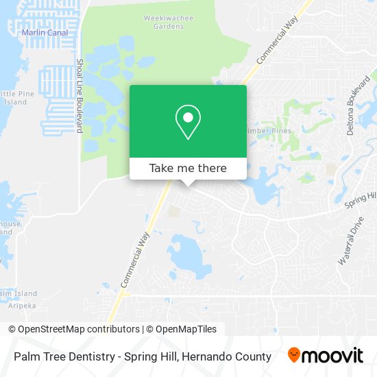 Mapa de Palm Tree Dentistry - Spring Hill