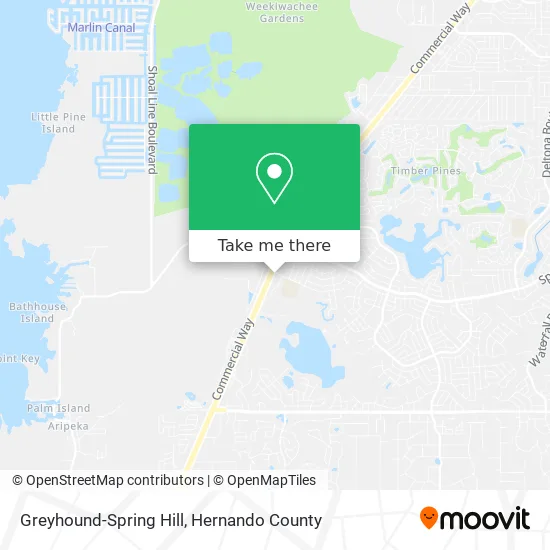 Mapa de Greyhound-Spring Hill